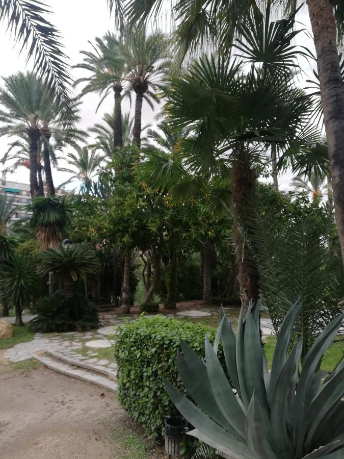 Penthouse Op Toplocatie Orihuela Buitenkant foto